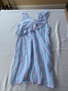 crown & ivy Light Blue Seersucker Dress with Pink Embroidery